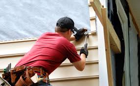 Best Siding Painting and Refinishing  in Indian Head, MD